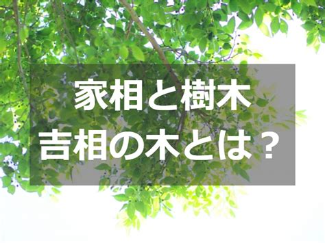 陽木 陰木 風水|家相で樹木を植えるなら陽木。方位によって吉凶がわかれる